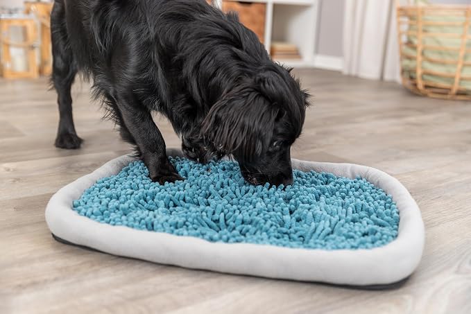TRIXIE Snuffle & Seek Plate, Snuffle Mat for Dogs, Level 1 Interactive Dog Toys, Enrichment Puzzle, Slow Feeder