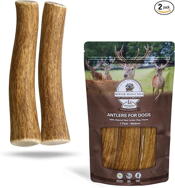 WhiteTail Naturals - Deer Antlers for Dogs - (Medium Whole- 2 Pack) - All Natural Antler Dog Chew - Naturally Shed, Long Lasting Chew Bone, Crafted in Texas