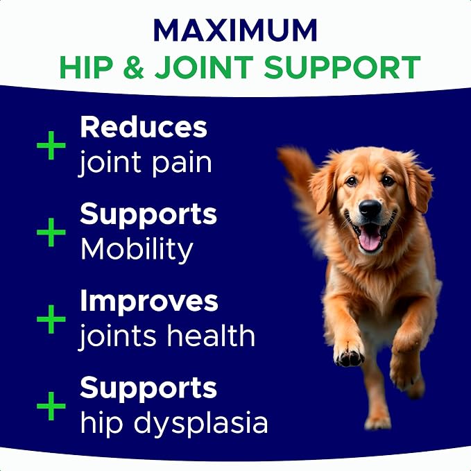 Dog Joint Supplement Large Breed - Glucosamine & Chondroitin Treats for Dogs - Supplement w/Omega-3, MSM - Made in USA - Joint Pain Relief - 240 Mobility Chews