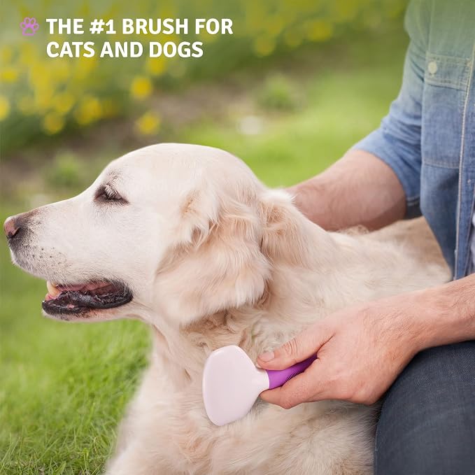Poodle Pet Bundle - Slicker Brush for Small and Large Dogs Pet Hair Remover Grooming Brush and Dog Grooming Rake Dematting Tool Removes Loose or Tangled Hair from Undercoat