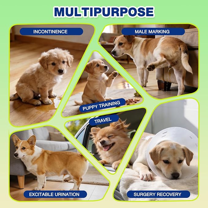 Dono Dog Diapers Male, Disposable Male Dog Wraps 60ct, Super Absorbent Doggie Diapers with Wetness Indicator, Leak-Proof Belly Band, Puppy Pampers for Excitable Urination, Incontinence, Medium