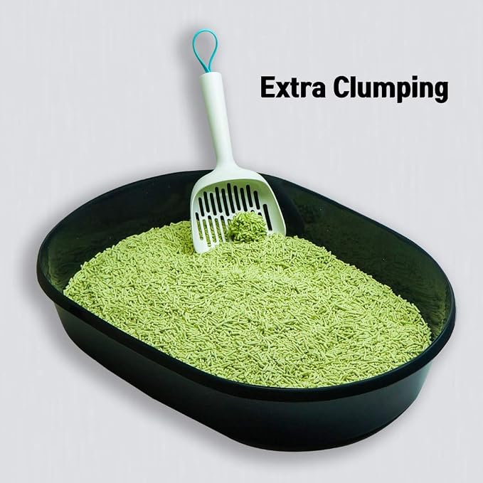 I AM TOFU - Natural Flushable Tofu Cat Litter, Low Dust Lightweight Clumping Litter, Odor Control (10 LBS, Green Tea)