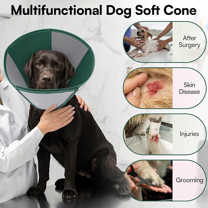 Queenmore Dog Cone Collar, Dog Cones for Small Dogs, Soft Cone for Small Dogs, Waterproof Pet Cones After Surgery to Stop Licking, Easy Clean Recovery Collar for Wound Healing (Dark Green,S)