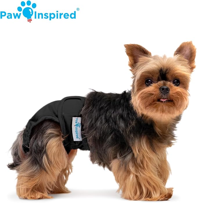 Paw Inspired Washable Dog Diapers (3 Pack) | Reusable Cloth Doggy Diapers for Female Small, Medium, Large Size Dogs (Black with Black Lining, Size XS)