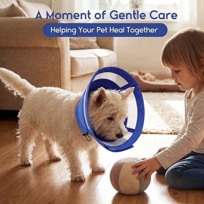 ASENKU Dog Cone Collar, Protective Recovery Dog Collar After Surgery, Comfy Adjustable Cone for Dogs to Stop Licking, Pet E-Collar for Small, Medium & Large Dogs(Blue, L)