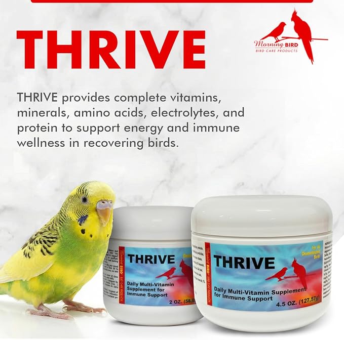Morning Bird Thrive 2 oz – Daily Multi-Vitamin Bird Supplement for Immune & Recovery Support – Ideal for Sick, Injured, or Recovering Birds – Energy & Wellness Formula for Adult Birds