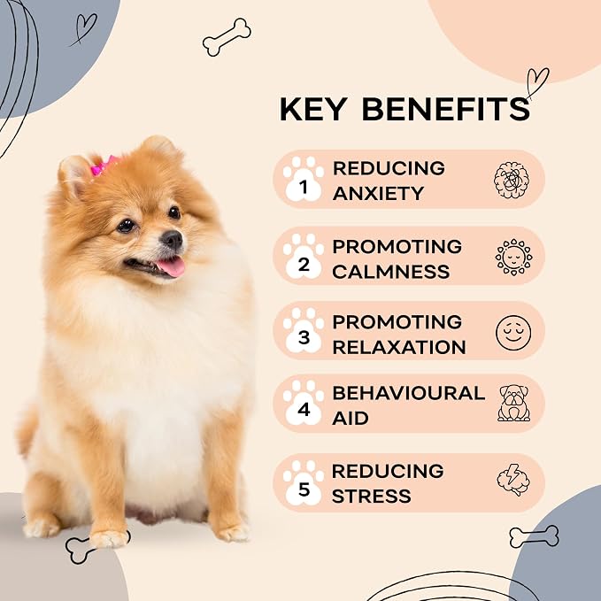 Upgraded Heartbeat Puppy for Dogs with Blanket, Heat Packs and Chew Toy - Pet Anxiety Relief and Calming Sleep Aid - Perfect Dog Stuffed Animal for Behavioral Crate Training - Dog Toys
