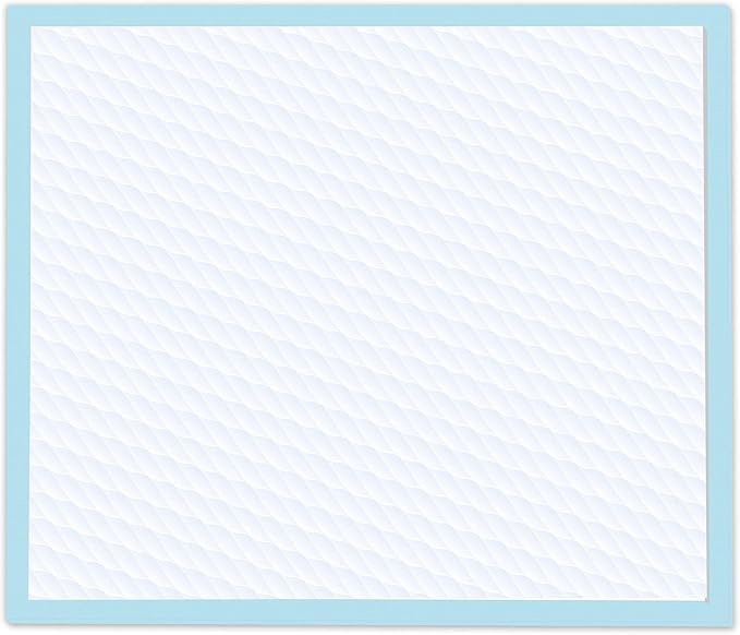 Four Paws Wee-Wee Superior Performance Unscented Puppy Pee Pads for Dogs & Puppies, Quilted Leak-Proof Dog Housebreaking Potty Training Floor Protection, Pet Supplies, 22" x 23", 10 Count