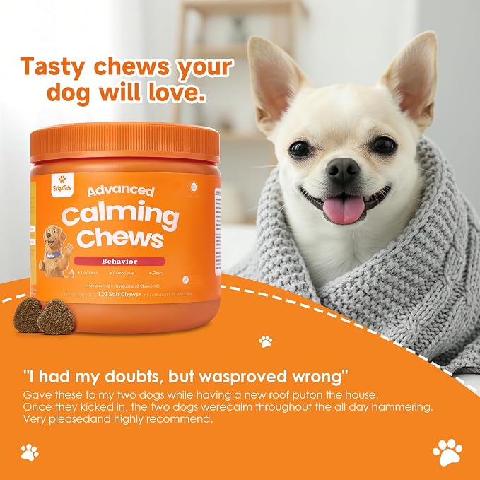 Dog Calming Chews - Calming Treats for Dogs for Separation Anxiety| Anxiety Relief for All Breeds, Puppies & Adult Dogs, Bacon Flavor, 120 Count