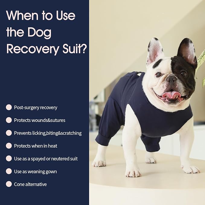IECOii Dog Surgery Recovery Suit for Female Or Male Dogs,Post Surgery Dog Onesies for Spay Neuter,Small Dog Surgical Suit for Abdominal Wound and Rear Leg,Dogs E-Collar & Cone Alternative,Small-Blue