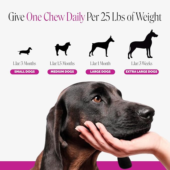 10-in-1 Dog Multivitamin Supplement with Glucosamine & Probiotics - Hip & Joint Support, Digestive Health, Immune Support, Heart & Skin - All-in-One Daily Vitamins & Omega-3s (Peanut Butter, 90 ct)