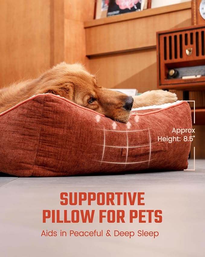 Dog Beds Large Sized Dog - Comfy Flat Pet Beds with Removable Washable Cover, Orthopedic Foam Puppy Mat with Pillow Suitable for Pet Up to 65 lbs(36''×24''×5'')