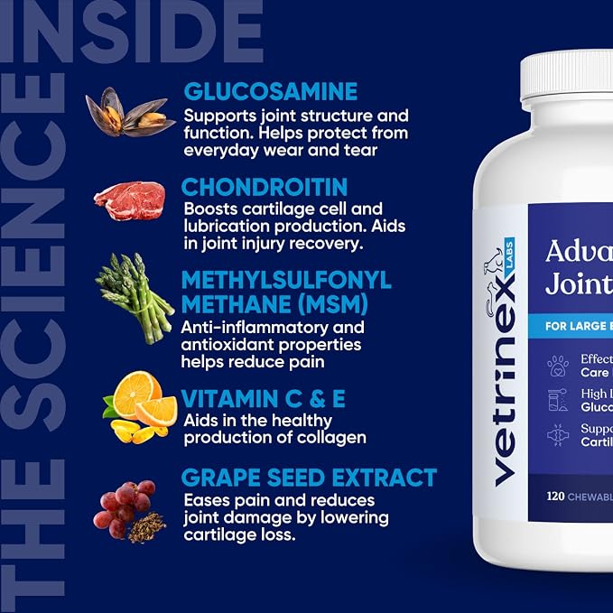 Joint Support Supplement for Large Dogs - Hip and Joint Chewable Tablets for Small, Medium & Large Breed Dogs with Glucosamine, Chondroitin, and MSM, Beef Flavor, 120 Tablets