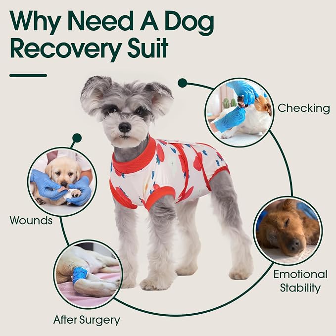 Kuoser Recovery Suit for Dogs After Surgery,Printed Dog Surgery Suit Female Male Spay Neuter,Anti-Licking Dog Onesie for Abdominal Wounds Skin Disease,Pet Surgical Recovery Bodysuit Cone Alternative,S