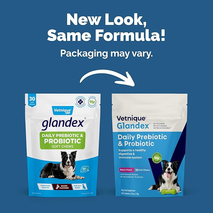Vetnique Glandex Dog Probiotic Chews, Daily Probiotics for Dogs 5 Strains, Prebiotics & Digestive Enzymes for Gut & Immune Health, Vet Formulated for Occasional Diarrhea (30ct Chews, Probiotic Chews)