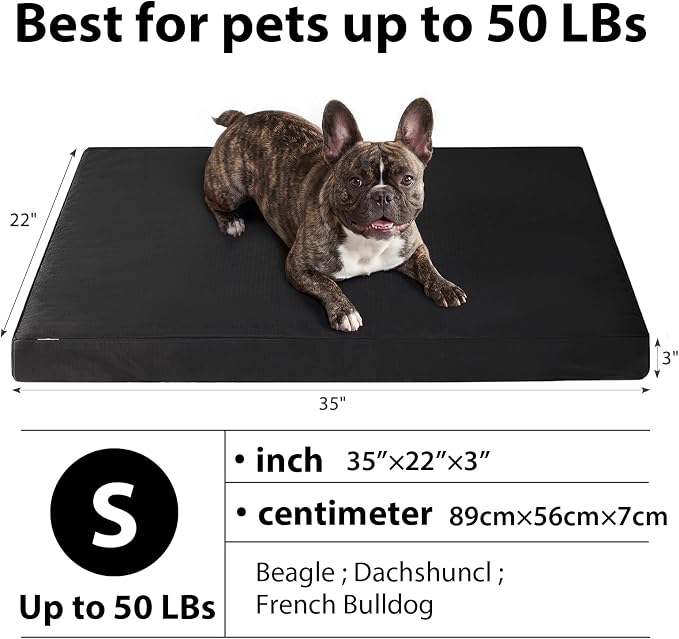 RRPETHOME 3" Indestructible Chew Proof Dog Beds for Aggressive Chewers,Durable Waterproof Fabic Chew Resistant Crate Dog Bed for Puppy Teething & Active Dog, Orthopedic Egg Foam（Black 35x22x3）