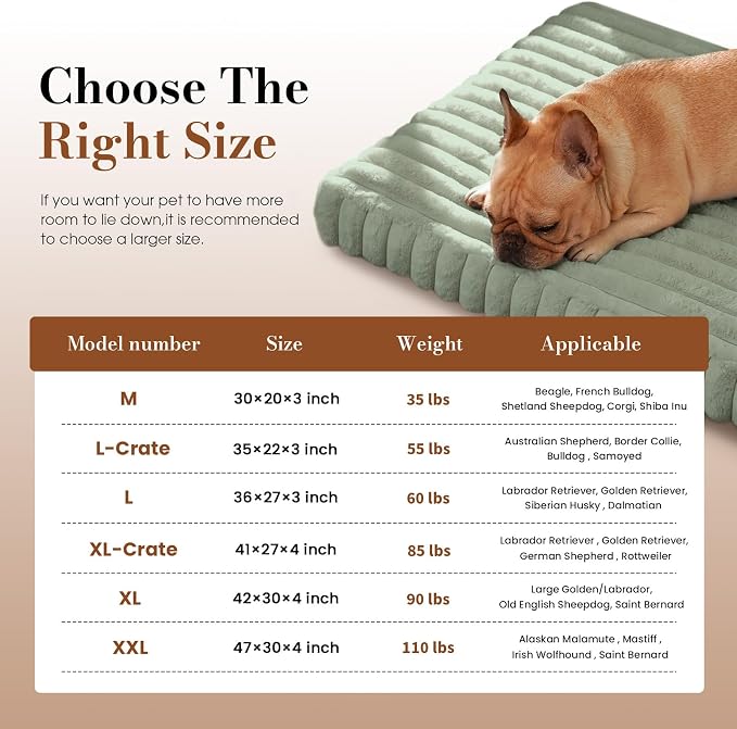 Orthopedic Dog Bed Medium Size Dog, Pet Beds with Waterproof Lining, Soft Short Plush Surface & Egg Crate Foam, Machine Washable Pet Mat with Removable Cover & Anti Slip Bottom