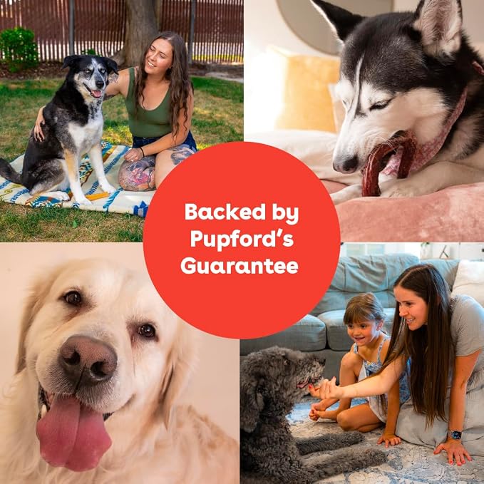 Pupford Bully Stick Rings for Puppies & Dogs, Long-Lasting Beef Dog Chew Treats, 8 Pack