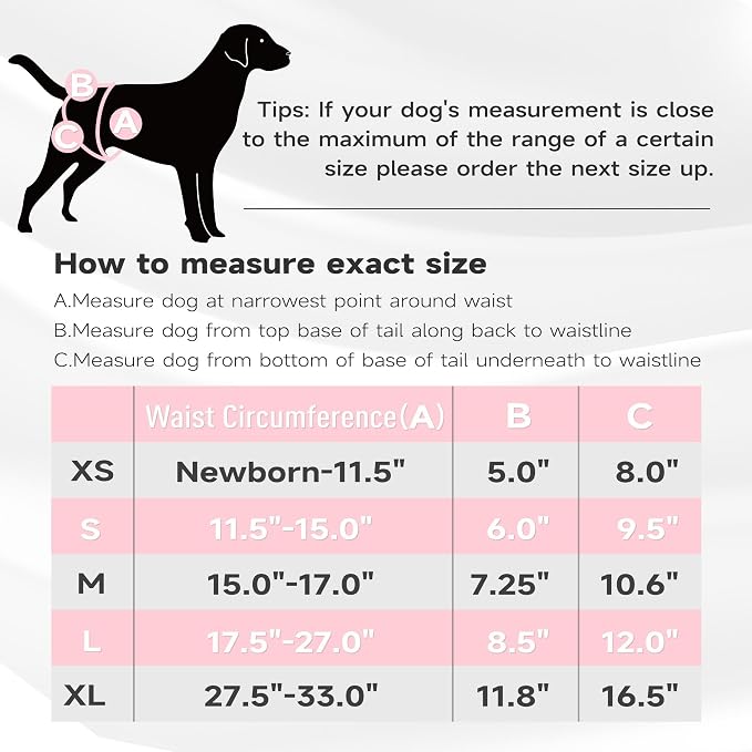 Paw Legend Washable Reusable Female Dog Period Diapers for Heat Doggie Puppy Diapers for Female Dogs (3 Pack, Flower, X-Large)