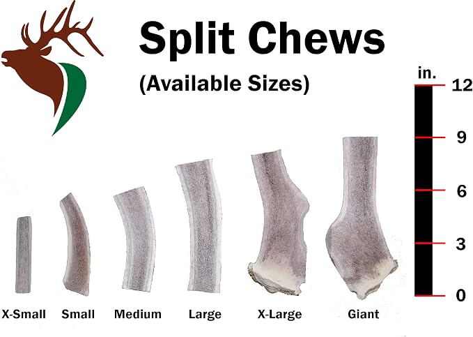 Elkhorn Premium Chews - Giant Split Single Pack (for 75+ lb Dogs) Premium Grade Elk Antler for Dogs (1 Piece) Sourced in the USA