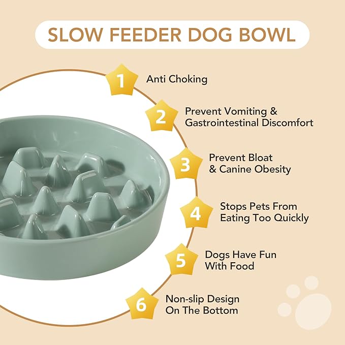 Havniva Ceramic Slow Feeder Dog Bowls, 3.2 Cups Dog Bowl Slow Feeding for Medium and Large Breed, 9.5inch Puzzle Dog Food Bowl Slow Feeder Non-Slip Anti-Gulping and Anti-Choking Reduces Bloating