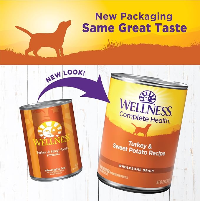 Wellness Complete Health Pate Adult Canned Wet Dog Food, Wholesome Grains, Natural, Turkey and Sweet Potato, 12.5 oz, Pack of 12 Cans