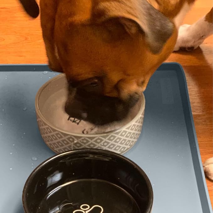 Finorder 34"x 21" 100% Silicone Pet Feeding Mat, Higher Raised Edges and Slip Resistant Pet Food and Water Bowl Mat, Waterproof Pet Food Placemat Silicone Tray, Dishwasher Safe (Grey)