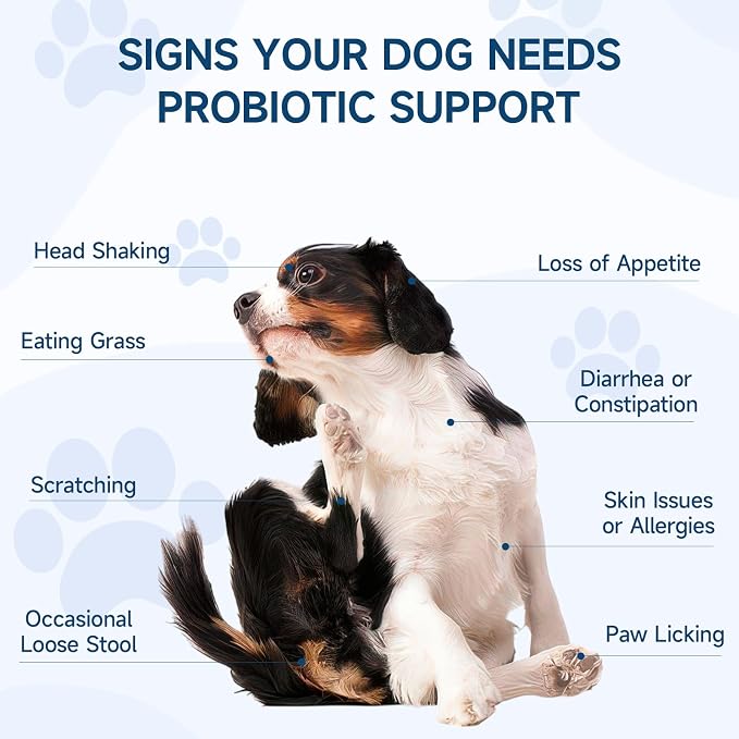 Woyamay Dog No Chew Spray & Probiotic Chews Bundle – Digestive Health + Behavioral Support for Dogs – Prevent Chewing, Licking & Biting While Supporting Gut Health, Immunity & Daily Comfort
