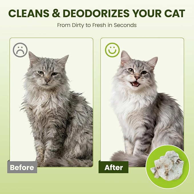 Hypoallergenic Pet Wipes for Dogs, Cats & Small Animals – Quick Clean & Deodorize Paws, Butt, Eyes, Face & Fur | Daily Grooming Wipes | Extra Large & Thick | Coconut Scented, 100 Count