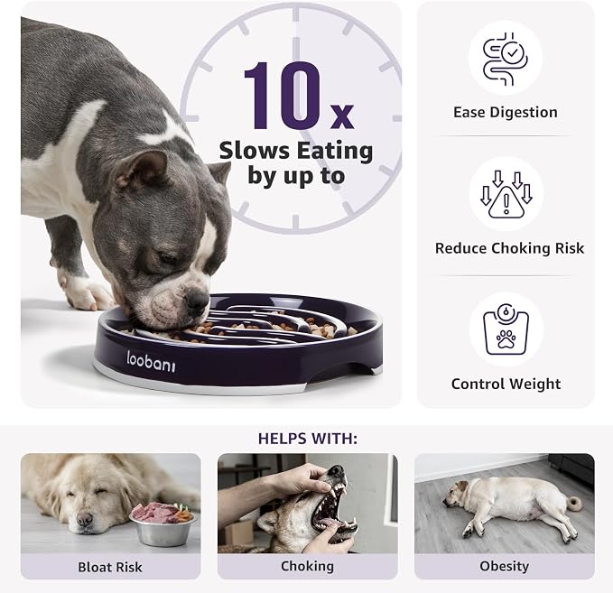 LOOBANI Ceramic Slow Feeder Dog Bowls - 4.5 Cups Slow Feeder Dog Bowls for Large Giant Dogs, Slow Feeding Easy-Grip Handles, Perfect for Fast Eaters Saint Bernards & Mastiffs (XL, Purple)