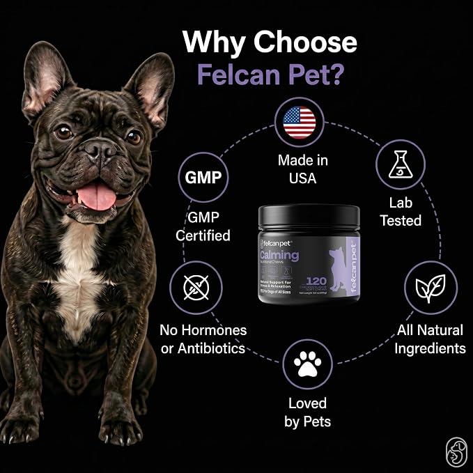 Calming Chews for Dogs – Natural Support for Dog Anxiety, Stress & Relaxation with L-Theanine, Chamomile & Melatonin – Chicken Flavor – 120 Soft Chews