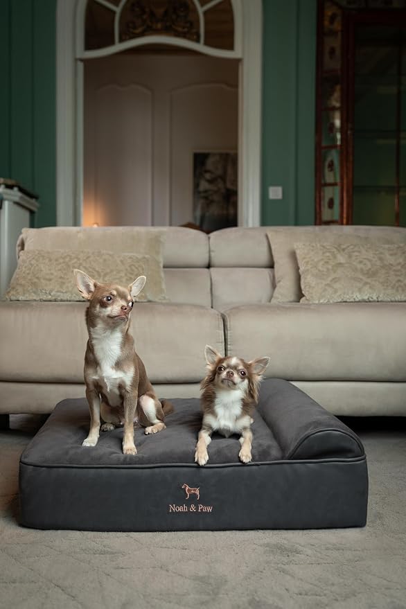 NOAH & PAW Dog Bed, 28x23x7.5 Inch, Orthopedic Dog Beds for Medium Size Pets, Eggshell Memory Foam Infused with Cooling Gel, Water Resistant, Machine Washable, Includes Inner Cover (Faux Leather)