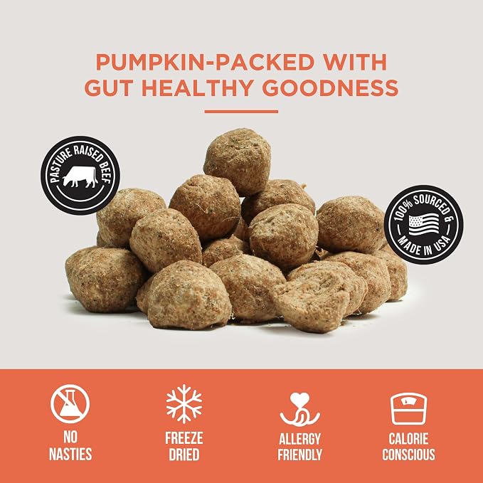 Natural Rapport Freeze Dried Pumpkin Meatballs Dog Treats - Beef, Turkey & Pumpkin, Limited Ingredient for Sensitive Stomachs (4 oz) (30+ Treats)