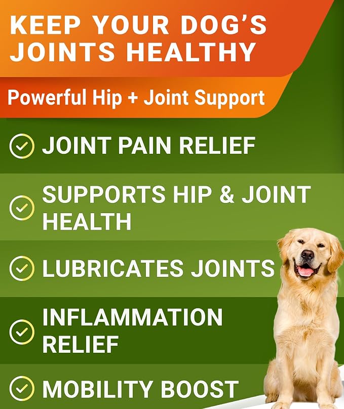 Glucosamine Treats for Dogs - Joint Supplement w/Omega-3 Fish Oil - Chondroitin, MSM - Advanced Mobility Chews - Joint Pain Relief - Hickory Bacon Flavor - Dogs & Horses - 240 Ct - Made in USA