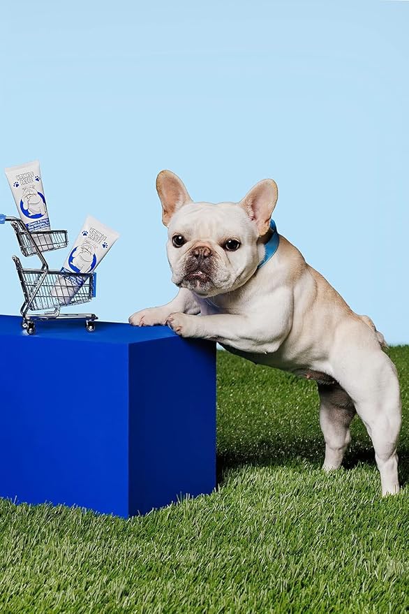 Squishface Wrinkle Paste - 2 Pack - Bulldog, French Bulldog, Pug, English Bulldog – Cleans Wrinkles, Tear Stain, Tail Pockets, and Paws – Anti-Itch Tear Stain Remover & Bulldog Wrinkle Cream, 2 Oz.