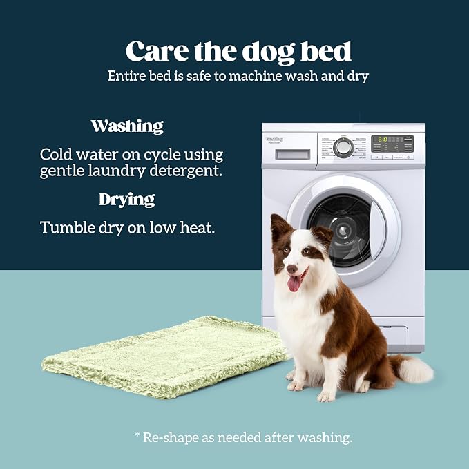 PELZIN Stoutwool Indestructible Dog Bed - Fluffy Chew Proof Dog Crate Pad - Tough Kennel Pad for Aggressive Chewers - Ideal for Extra Small Breeds & Fits 22-Inch Crate - 21"x12", Gleam