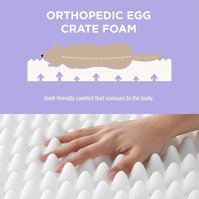 LE SURE Cute Orthopedic Dog Bed for Extra Large Dogs, XL Waterproof Chic Flat Pet Beds with Removable Washable Cover, Fuzzy Thick Egg Crate Foam Pet Mat for Indoor Use (44" x 32", Brown)