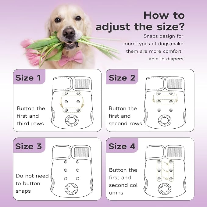 Paw Legend Washable Reusable Female Dog Period Diapers for Heat Doggie Puppy Diapers for Female Dogs (3 Pack, Large)