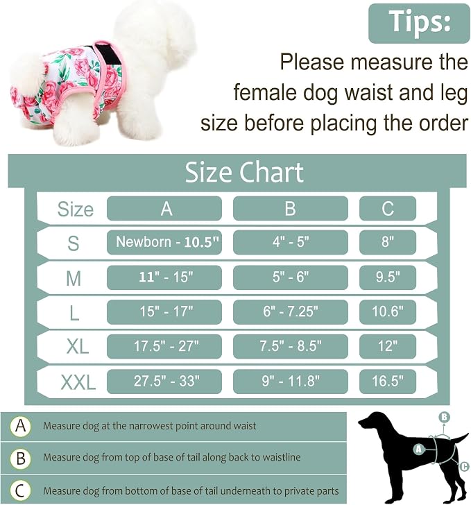 Washable Female Dog Diapers - Premium Reusable Diapers for Doggie in Heat - Highly Absorbent Dog Diapers Female for Pet Incontinence with Adjustable Snaps Sunflower, M