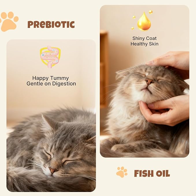 M-PETS Creamy Lickable Cat Treats – 4 Flavor Variety Pack, 80 Tubes of Healthy Squeeze Up Snacks with Functional Nutrients for Hydration, Skin & Coat, and Digestive Health – Grain Free, High Protein