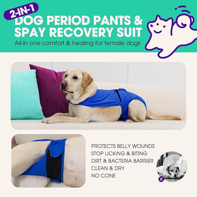 Dog Diapers for Female Dogs, Washable Reusable Female Dog Diapers, Leak Proof Doggie Underwear Sanitary Pants for Heat Cycle, Incontinence and Puppy Training, Adjustable Belly Bands- Blue 2XL