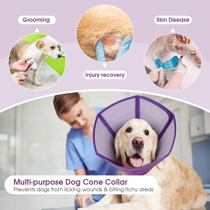 Allroaring Soft Dog Cone Collar Post Surgery Recovery,Waterproof Dogs Elizabethan Collar for Spay & Neuter Cones of Shame with Comfy Neck Padded Adjustable Cone to Stop Licking for Medium Dog M Purple