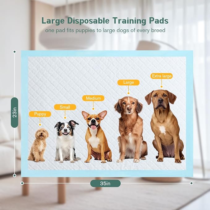 Large Puppy Pee Pads for Dogs 23" x 35" 20 Count, 6-Layer Leak-Proof XL Dog Pee Pads, Super Absorbent Quick-Dry Thick Disposable Potty Training Pads
