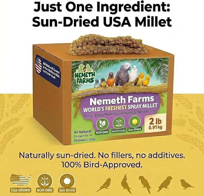 Nemeth Farms Spray Millet - Edible Tops Only, Non-GMO and Sun-Dried - 2 lbs for Cockatiels, Lovebirds and Budgies