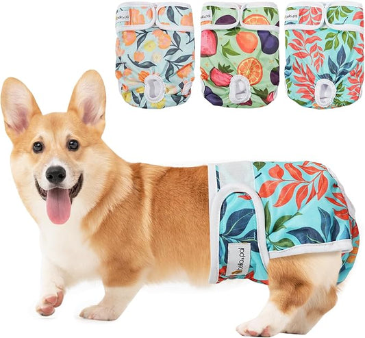 BELLA & PAL Washable Dog Diapers Female, 3 Pack Highly Absorbent Dog Diaper, Leak-Proof Diaper for Dog Female in Heat, Period, Incontinence, Excitement Pee (Natural Joy, L (19-25" Waist))