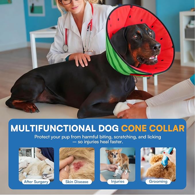 Queenmore Dog Cone, Cone for Dogs to Stop Licking, Dog Cones for Medium Dogs, Adjustable Doggy Recovery Collars & Cones, Elizabethan Collar for Pets After Surgery, Watermelon M
