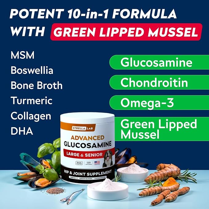 Senior Advanced Glucosamine Joint Supplement for Dogs - Green Lipped Mussel & Collagen - Large Breeds - Hip & Joint Health - Bacon Flavor - 120 Chews