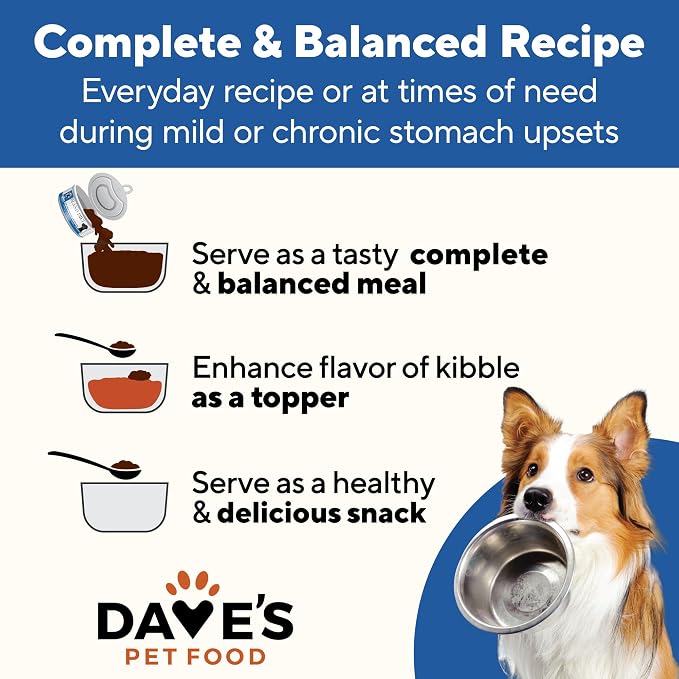 Dave's Pet Food Bland Diet Dog Food (Chicken & Rice), Upset Stomachs, Easy to Digest Pate, Gluten & Wheat Free, Complete & Balanced Meal or Topper, Limited Ingredient, 5.5 oz (Case of 24)