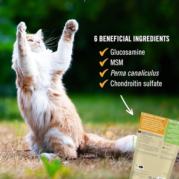 Pet Naturals Hip and Joint Supplement with Glucosamine, Green-Lipped Mussel, and Chondroitin for Cats, Duck Flavor, 160 Chews
