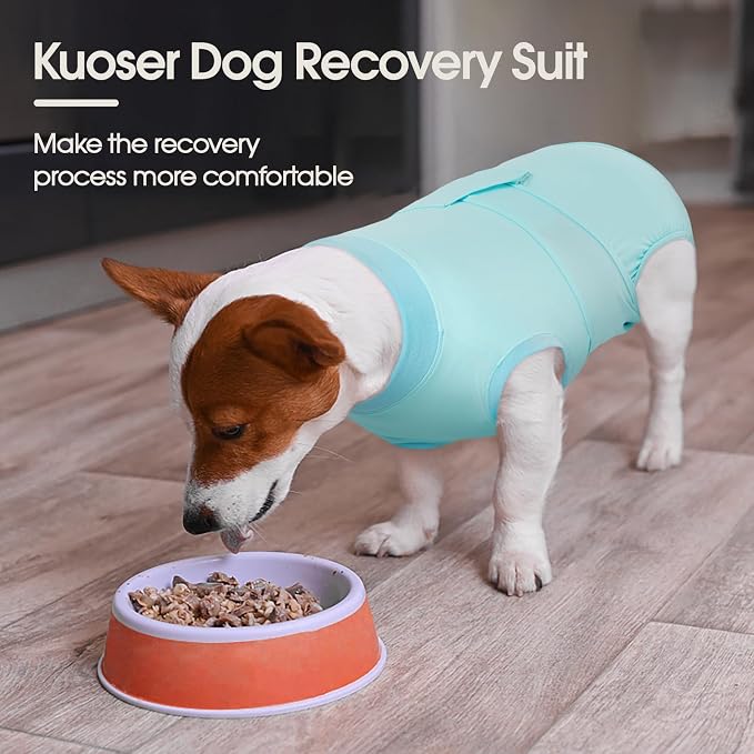 Kuoser Dog Recovery Suit for Dogs After Surgery, Soft Dog Surgical Onesie for Female Male Dogs Spay Neuter, Anti-Licking Pet Bodysuit for Abdominal Wounds, Skin Disease, E-Collar Alternative, Blue XS